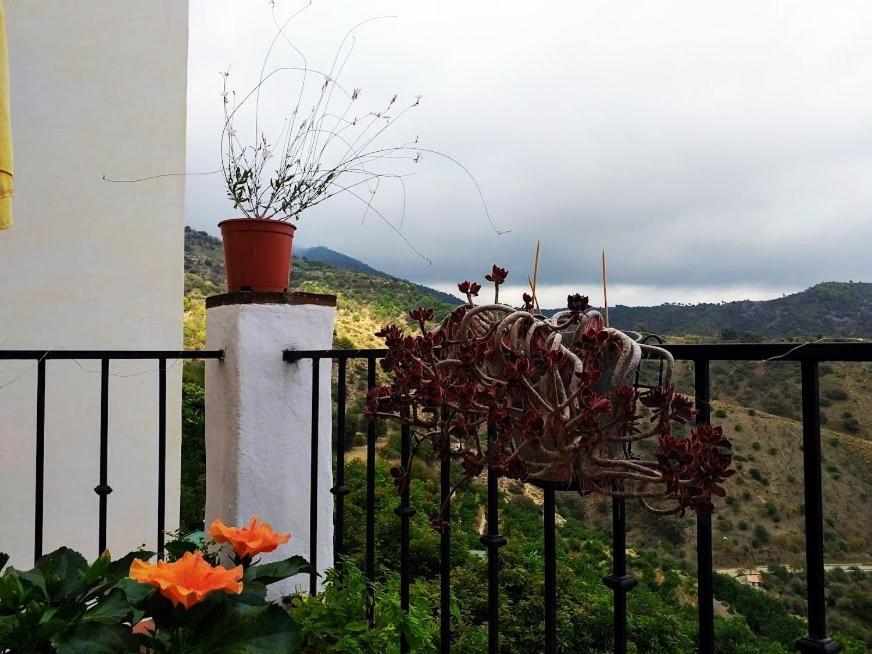 Posada Puente Romano Sedella 외부 사진