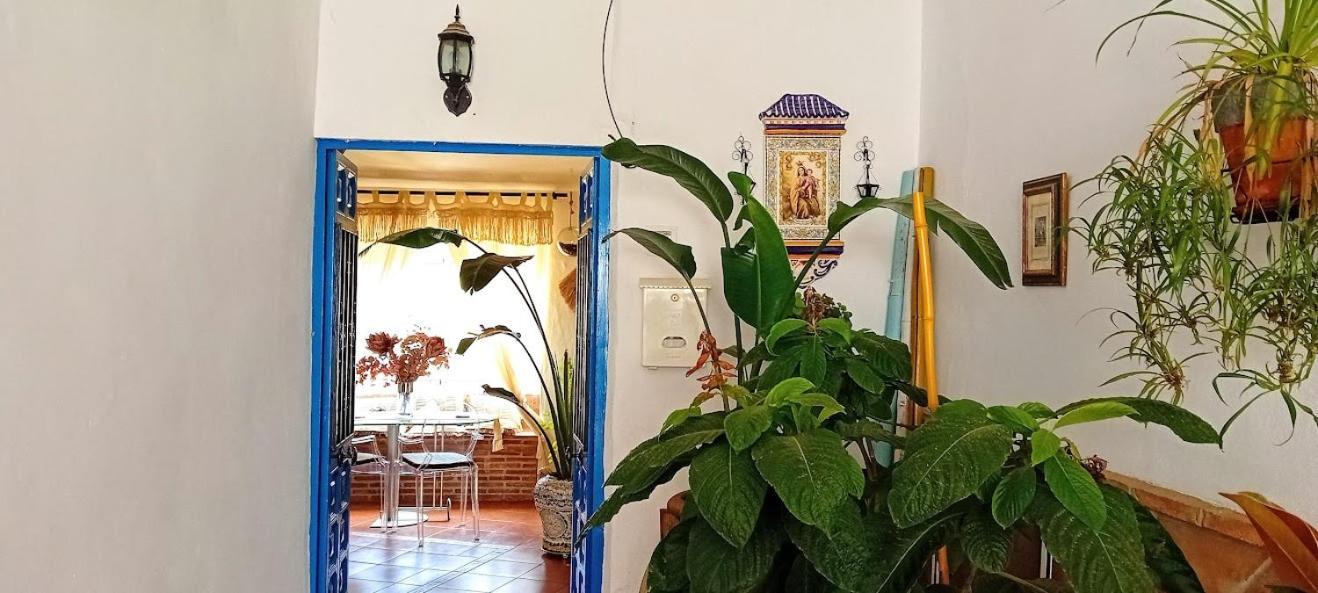 Posada Puente Romano Sedella 외부 사진